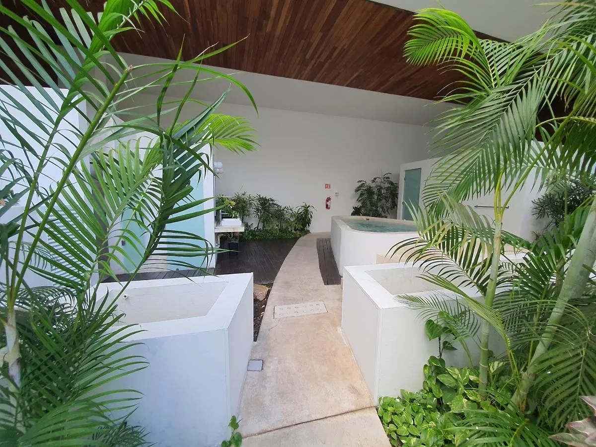 Departamento Con Terraza Excelente Ubicacion Y Wifi Apartment Playa del Carmen 0*,  Mexico