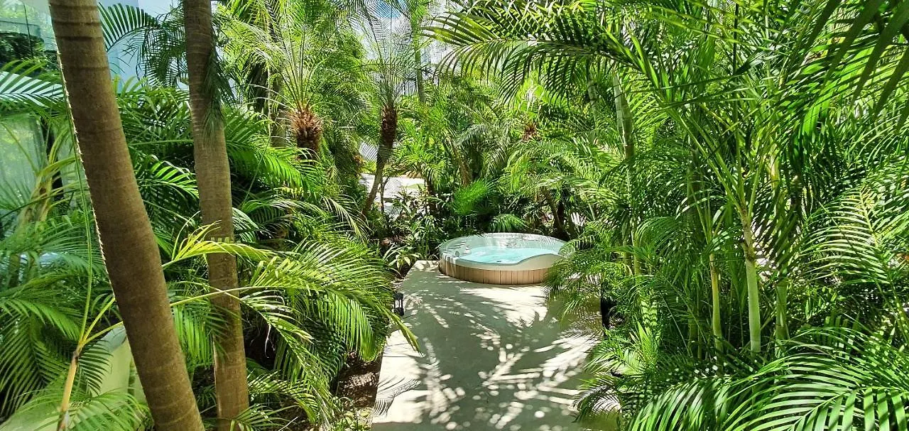 Departamento Con Terraza Excelente Ubicacion Y Wifi Apartment Playa del Carmen